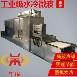 微波技术在现代食品工业中的创新应用与研发突破